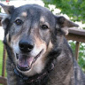 Meet your Posher, Ty